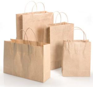 plain paper bag