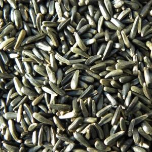 Niger Seeds