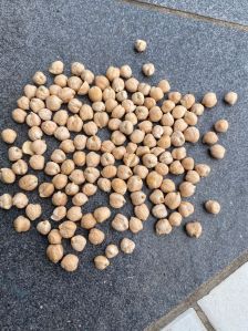 Kabuli Chana