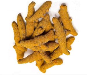 Dry finger turmeric