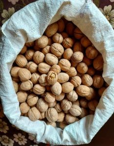 Walnut Kernels