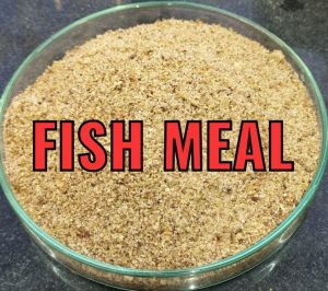 Fish Meal