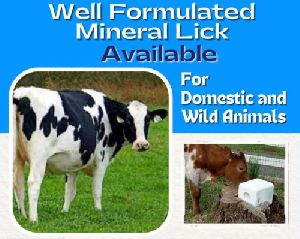 Well Formulated Mineral Salt Lick Block