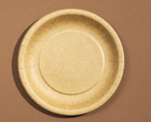 Kraft Paper Plate