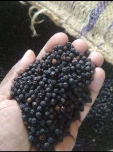 Vietnam black pepper