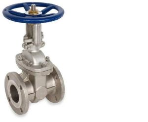 Stainless Steel Gate Valve