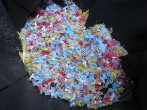 Pharma Tablet Blister Shredder and Separator in SS GMP model