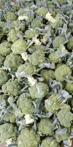 Fresh Broccoli