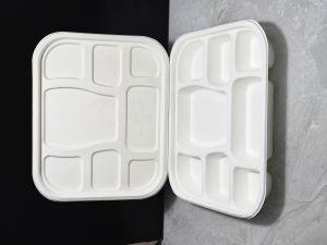 8 COMPARTMENT MEAL PLATE