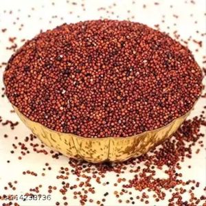 Ragi Millet