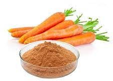 Spray Dried Carrot Powder