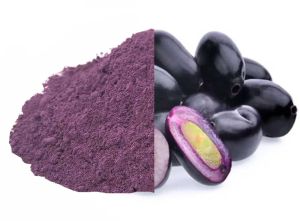 Spray Dried Jamun Powder