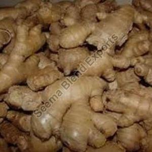 Karbi Ginger