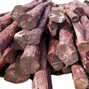 Red Sandalwood Logs