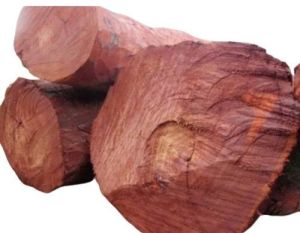 Red Sandalwood Logs