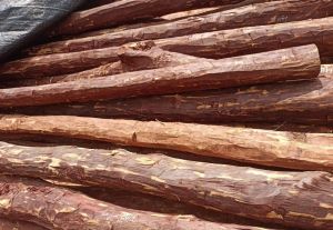 Red Sandalwood Logs