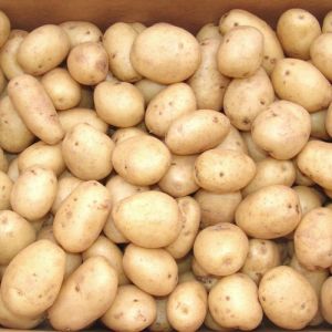 Brown A Grade Fresh Potato