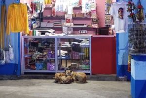 Stationary Printing Services