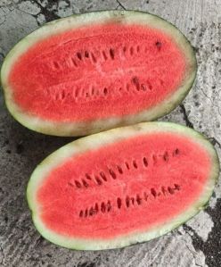 Fresh Water Melon