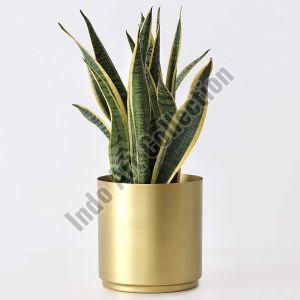 Decorative Brass Planter