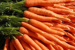 Fresh Carrot