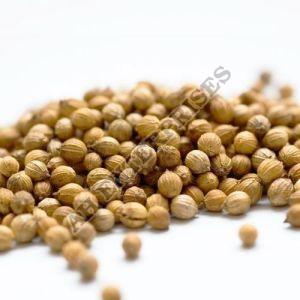 Coriander Seed