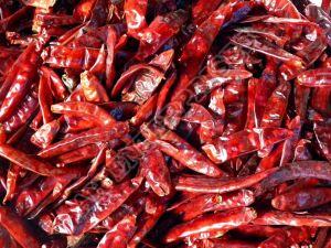 Dry Red Chilli