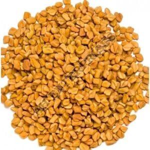 Fenugreek Seed