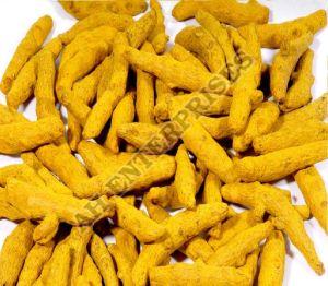 Yellow Turmeric Finger