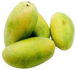 Fresh Dasheri Mango