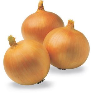 Fresh Yellow Onion