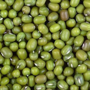 Green Mung Beans