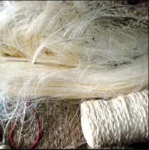 Natural Sisal Fibre