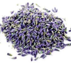 Dried Lavender Flowers