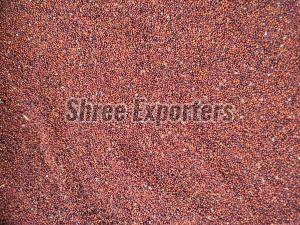 Finger Millet Seeds