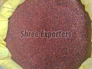 Finger Millet Seeds