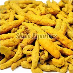 Sangli Turmeric Finger