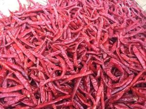 Dired Guntur Red Chilli