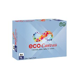 JK Eco Canvas Blue Copier Paper 75 GSM A4 500 Sheets (Pack of 1 Ream)