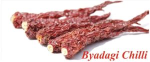 Byadagi Chilli