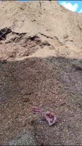 Wood Sawdust