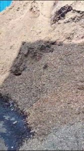 Wood Sawdust