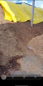 Wood Sawdust