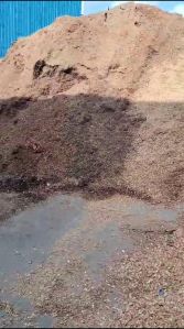 Wood Sawdust