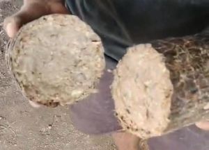 Sawdust Briquettes