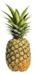 Fresh Pineapple