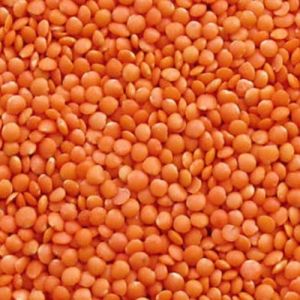 Red Masoor Dal