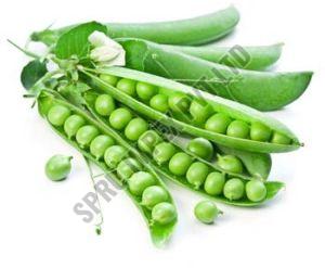 Fresh Green Peas