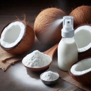 Spray Dried Coconut Milk Powder