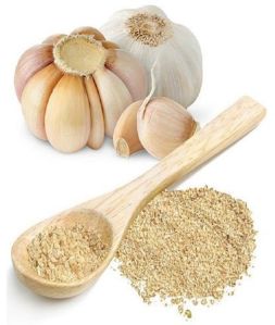 Spray Dried Garlic Powder